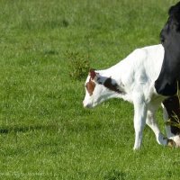 Schiermonnikoog 2014_141