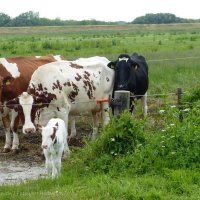 Schiermonnikoog 2014_46