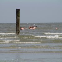 Schiermonnikoog 2014_8