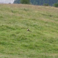Sommercamp 2014_296