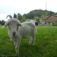 Action Camp in der fränkischen Schweiz_134