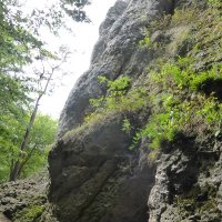 Action Camp in der fränkischen Schweiz_92