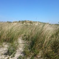 Schiermonnikoog 2015_18