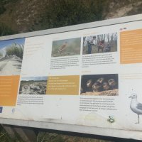 Schiermonnikoog 2017_142