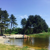 Schiermonnikoog 2017_149