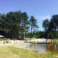 Schiermonnikoog 2017_150