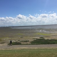 Schiermonnikoog 2017_176