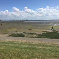 Schiermonnikoog 2017_180