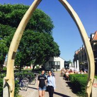 Schiermonnikoog 2017_183