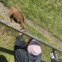 Schiermonnikoog 23-Juvente_11