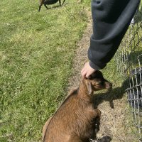 Schiermonnikoog 23-Juvente_12